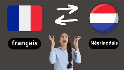 traduction français néerlandais|traduction néerlandais français fiable.